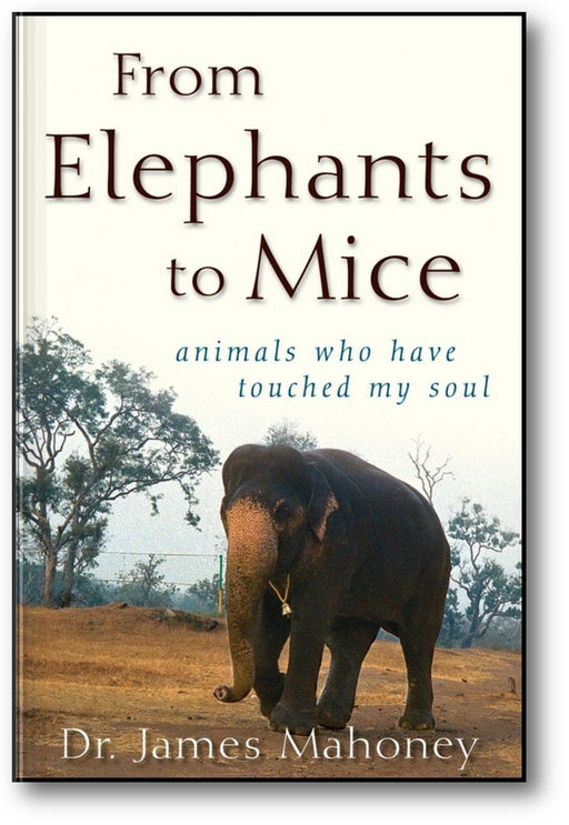 From Elephants to Mice: Animals Who Have Touched My Soul book cover