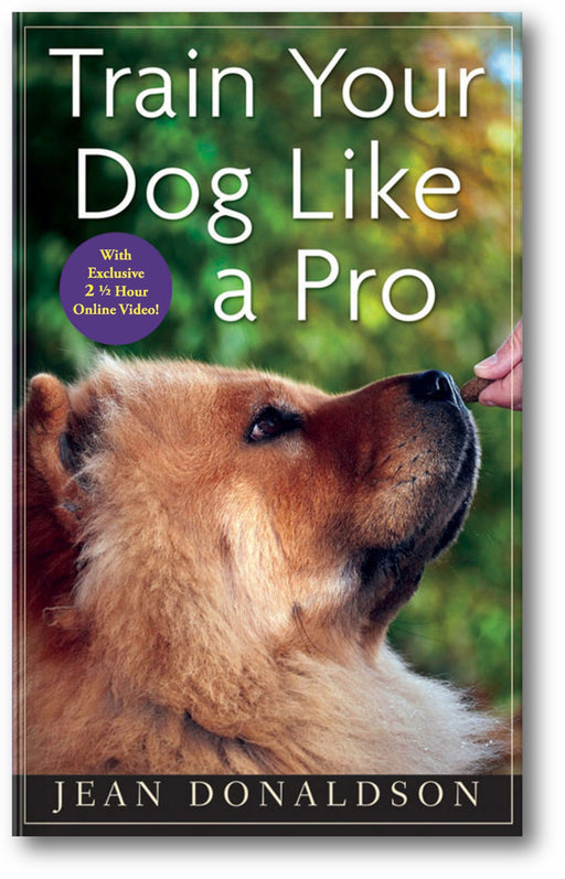 Train Your Dog Like a Pro book cover