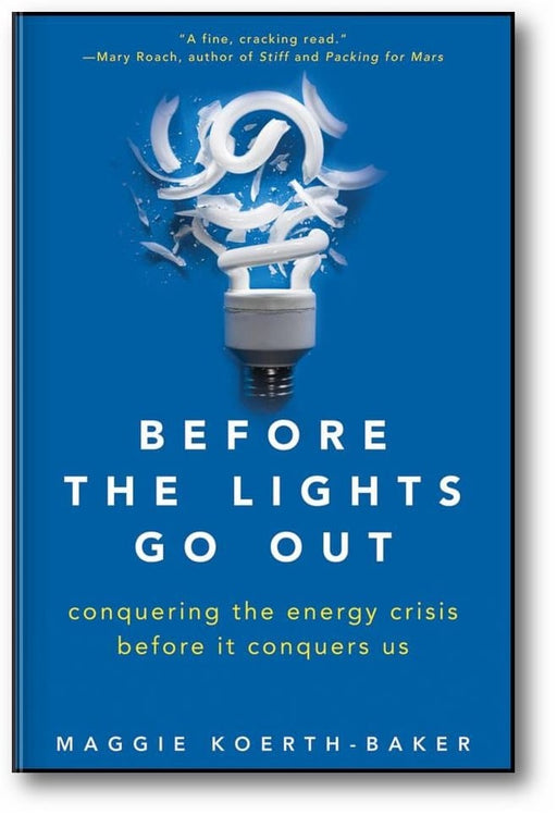 Before the Lights Go Out: Conquering the Energy Crisis Before It Conquers Us book cover