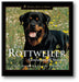 The Rottweiler: Centuries of Service book cover