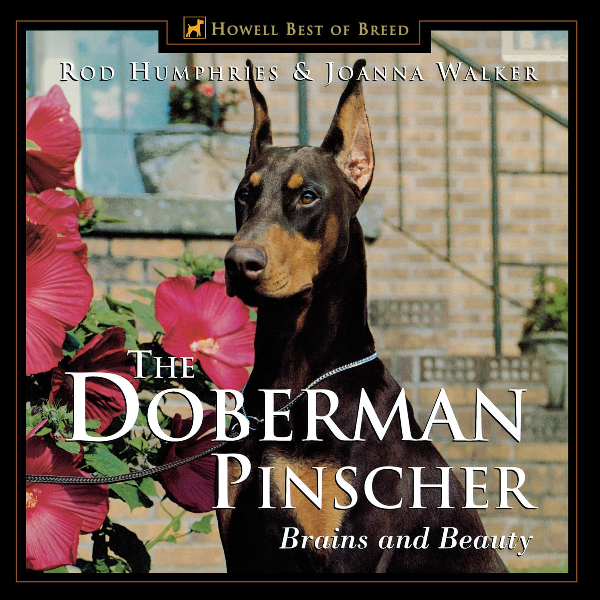 The Doberman Pinscher: Brains and Beauty — Turner Publishing