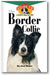 The Border Collie: An Owner's Guide to a Happy Healthy Pet book cover