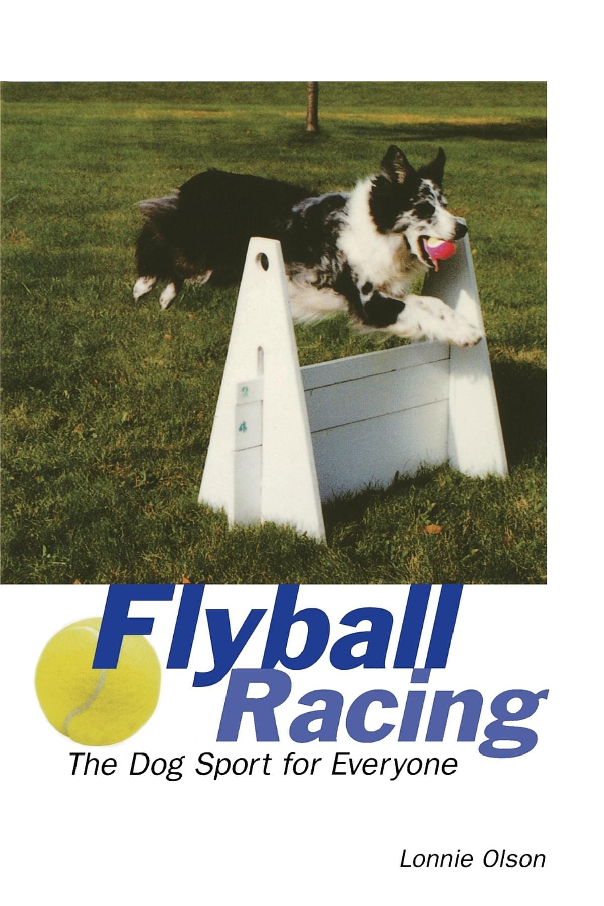 Flyball Racing: The Dog Sport for Everyone — Turner Publishing