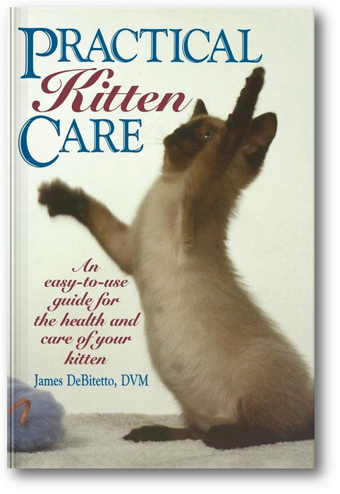 Practical Kitten Care book cover