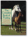 The Complete Book of Foaling book cover
