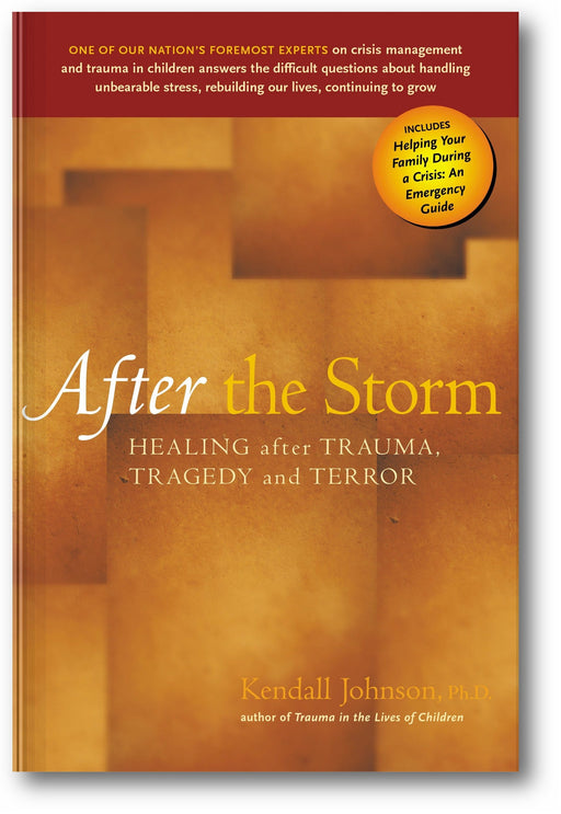 After the Storm: Healing After Trauma, Tragedy and Terror book cover