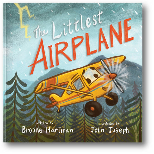 The Littlest Airplane book cover