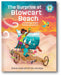 The Surprise at Blowcart Beach: A Challenge Island STEAM Adventure (Challenge Island, 3) book cover