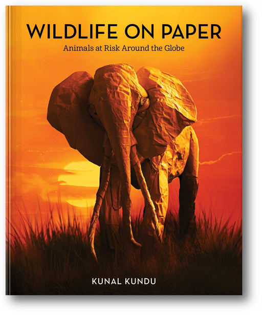 Wildlife on Paper: Animals at Risk Around the Globe book cover