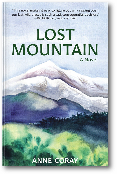 Lost Mountain: A Novel book cover