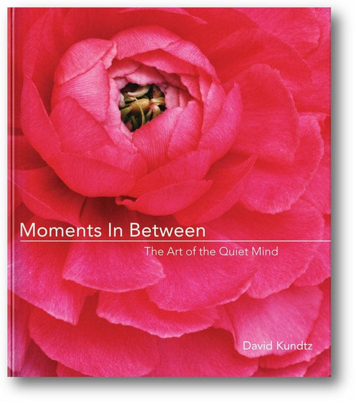 Moments in Between: The Art of the Quiet Mind book cover