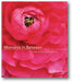 Moments in Between: The Art of the Quiet Mind book cover