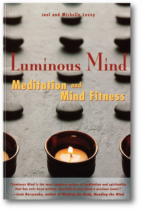 Luminous Mind book cover