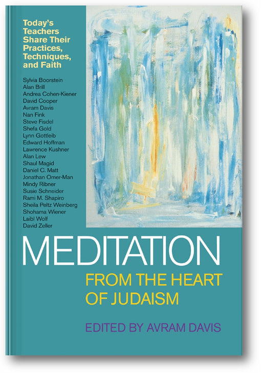 Meditation from the Heart of Judaism: Today's Teachers Share Their Practices, Techniques, and Faith book cover