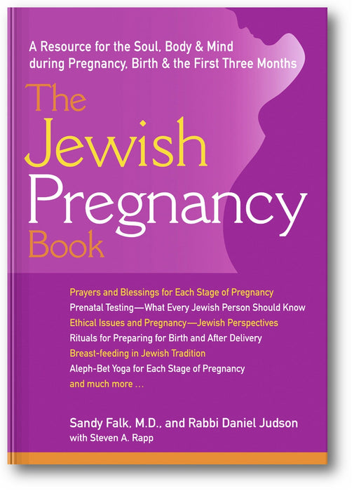 The Jewish Pregnancy Book: A Resource for the Soul, Body & Mind during Pregnancy, Birth & the First Three Months book cover