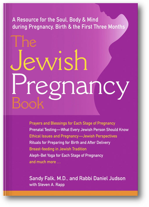 The Jewish Pregnancy Book: A Resource for the Soul, Body & Mind during Pregnancy, Birth & the First Three Months book cover