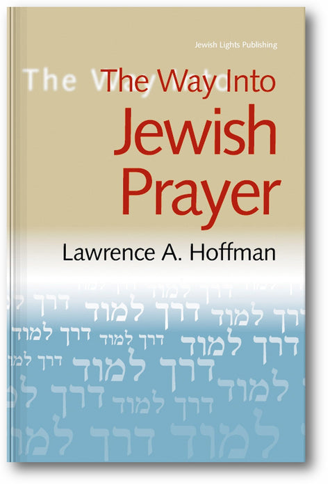 The Way Into Jewish Prayer book cover