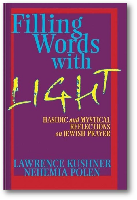 Filling Words with Light: Hasidic and Mystical Reflections on Jewish Prayer book cover