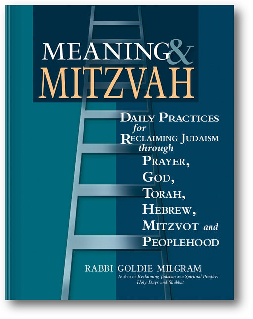 Meaning & Mitzvah: Daily Practices for Reclaiming Judaism through Prayer, God, Torah, Hebrew, Mitzvot and Peoplehood book cover