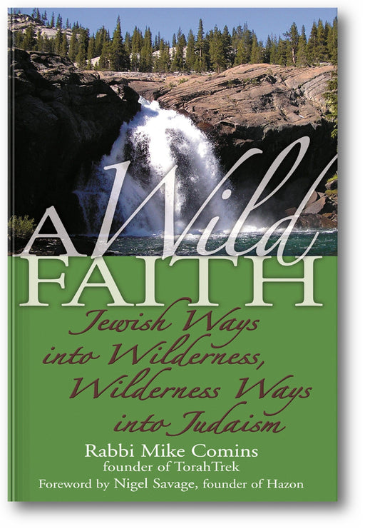 A Wild Faith: Jewish Ways into Wilderness, Wilderness Ways into Judaism book cover