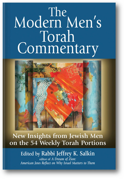 The Modern Men's Torah Commentary: New Insights from Jewish Men on the 54 Weekly Torah Portions book cover