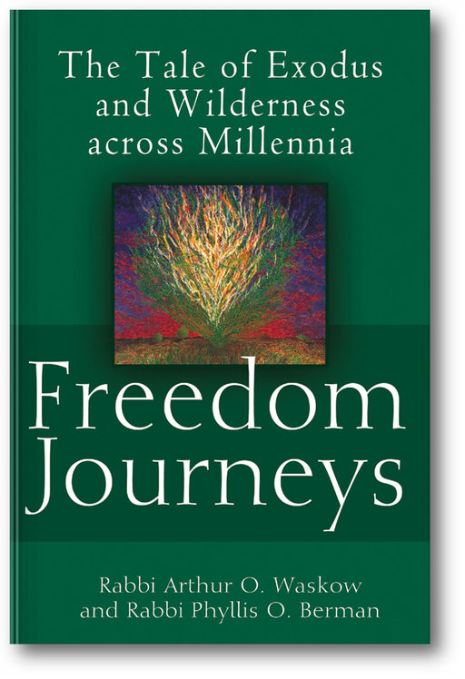 Freedom Journeys: The Tale of Exodus and Wilderness across Millennia book cover
