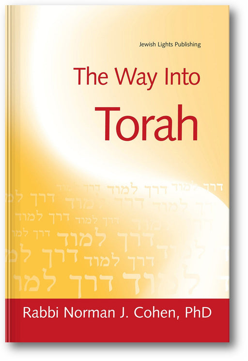 The Way Into Torah book cover