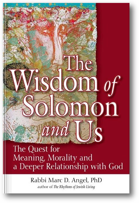 The Wisdom of Solomon and Us: The Quest for Meaning, Morality and a Deeper Relationship with God book cover