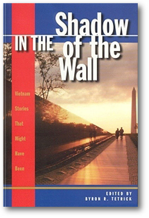 In the Shadow of the Wall: Vietnam Stories That Might Have Been book cover
