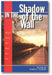 In the Shadow of the Wall: Vietnam Stories That Might Have Been book cover