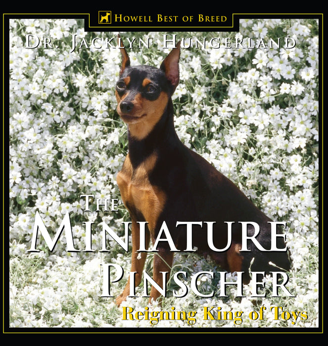 Miniature Pinscher: Reigning King of Toys