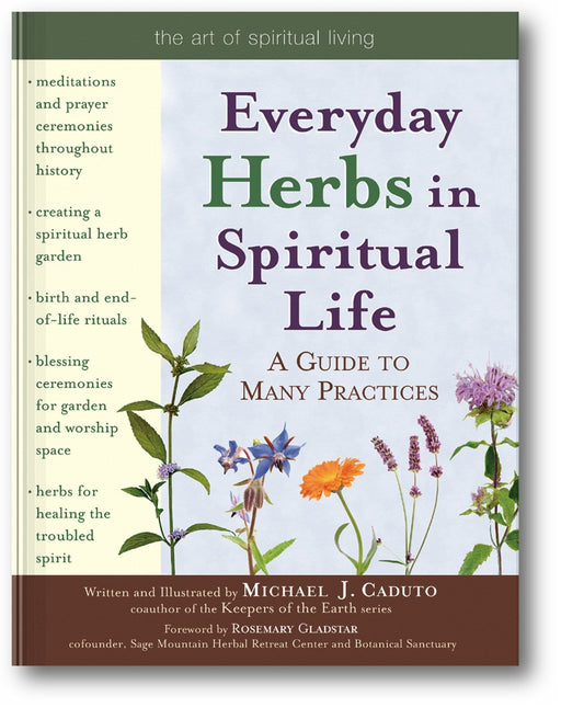 Everyday Herbs in Spiritual Life book cover