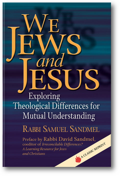 We Jews and Jesus: Exploring Theological Differences for Mutual Understanding book cover