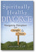 Spiritually Healthy Divorce: Navigating Disruption with Insight & Hope book cover