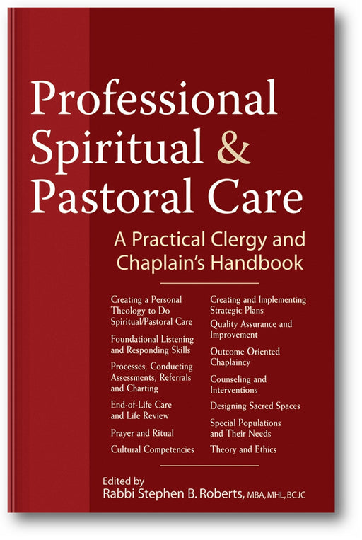 Professional Spiritual & Pastoral Care: A Practical Clergy and Chaplain's Handbook book cover