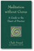 Meditation without Gurus: A Guide to the Heart of Practice book cover