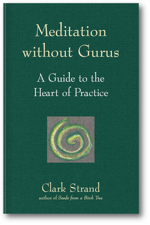 Meditation without Gurus: A Guide to the Heart of Practice book cover