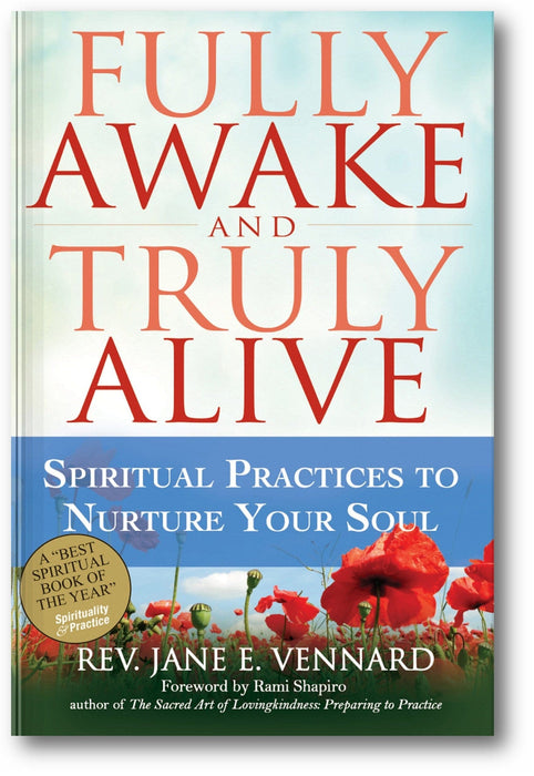 Fully Awake and Truly Alive: Spiritual Practices To Nurture Your Soul book cover