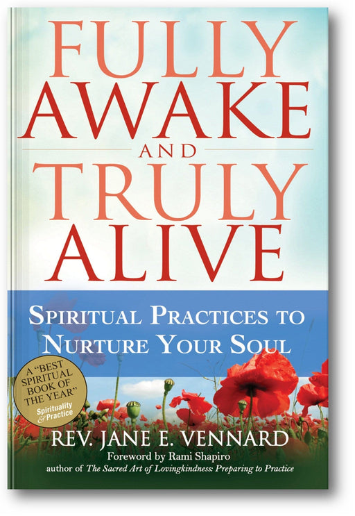 Fully Awake and Truly Alive: Spiritual Practices To Nurture Your Soul book cover