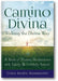 Camino Divina―Walking the Divine Way: A Book of Moving Meditations with Likely and Unlikely Saints book cover