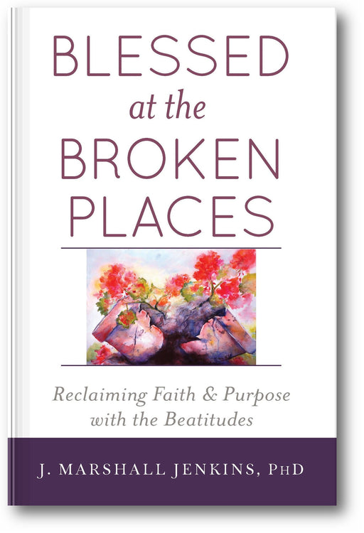 Blessed at the Broken Places: Reclaiming Faith and Purpose with the Beatitudes book cover