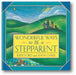 Wonderful Ways to Be a Stepparent book cover