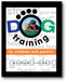Dog Training for Children & Parents book cover