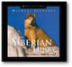 The Siberian Husky: Able Athlete, Able Friend book cover
