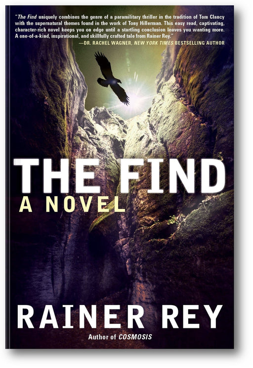 The Find book cover