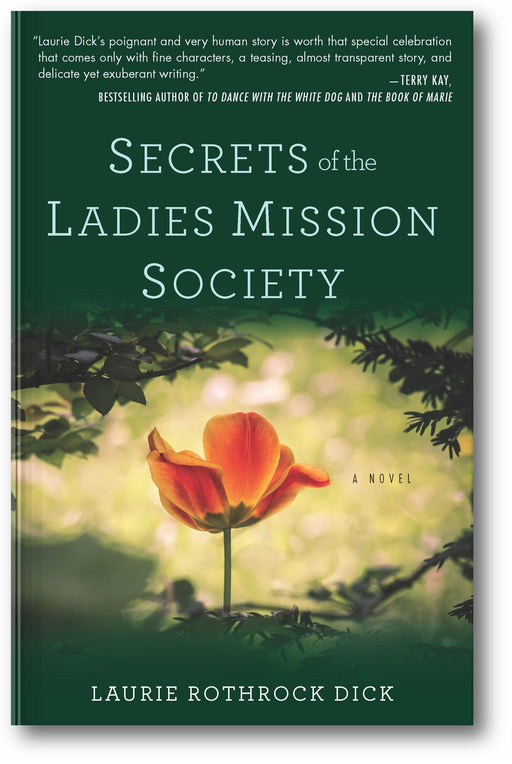 Secrets of the Ladies Mission Society book cover