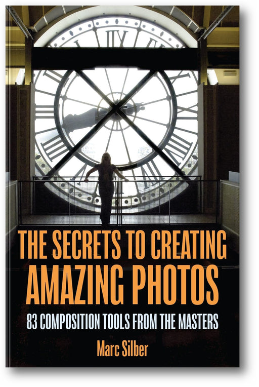 The Secrets to Amazing Photo Composition book cover