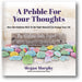 A Pebble for Your Thoughts book cover