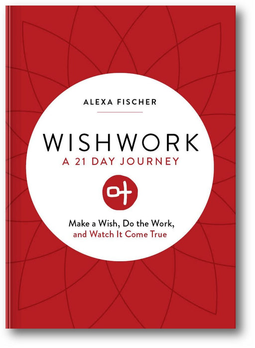 Wishwork book cover