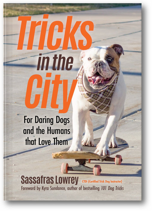 Tricks in the City book cover